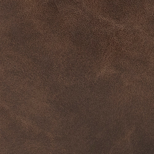 Addie - Image 5