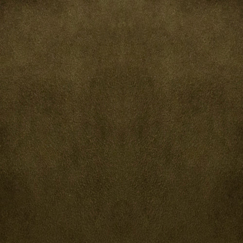 Addison - Image 5