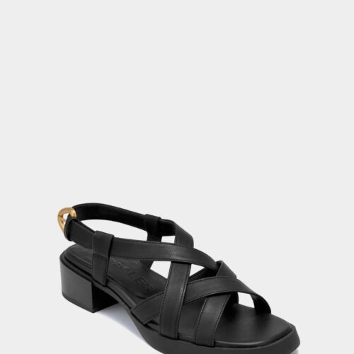 Daily *Final Sale*