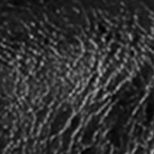 Gilmor - Image 7