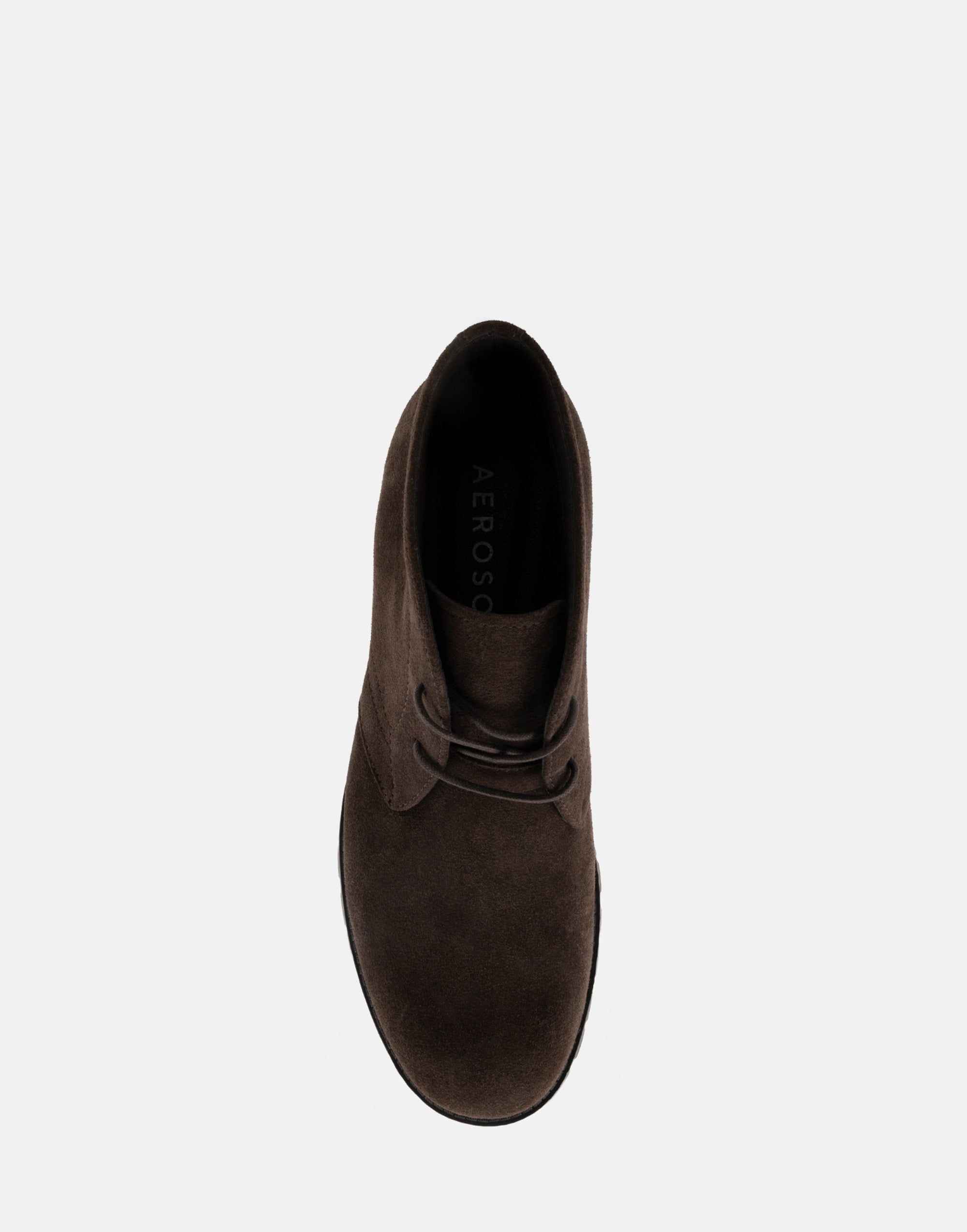 Paul - Image 4