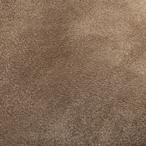 Percy - Image 7