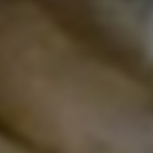 Sienna - Image 7